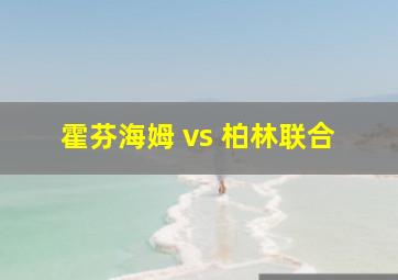 霍芬海姆 vs 柏林联合